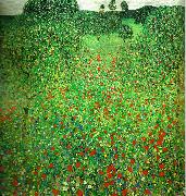 Gustav Klimt vallmofalt oil on canvas